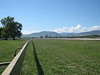 IMG_0084 (Medium)
